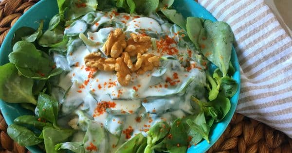 Yoğurtlu Semizotu Salatası