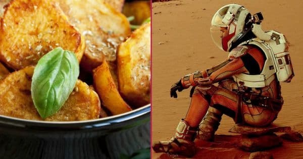 The Martian'dan Fesleğenli Fırın Patates