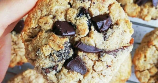 Dopdolu Fit Cookie