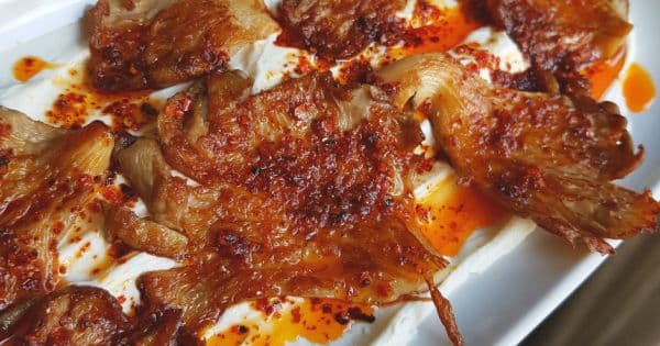 Yoğurtlu Acılı İstiridye Mantarı
