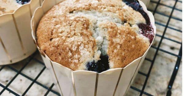 Yaban Mersinli Muffin