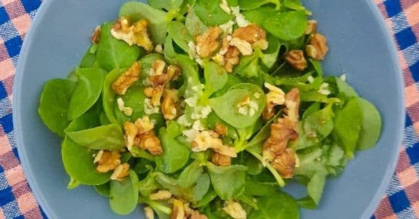 Cevizli Semizotu Salatası