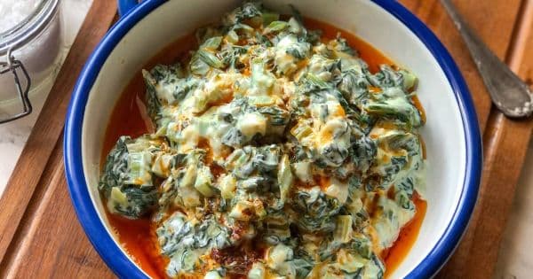 Pazı Borani