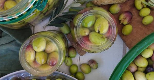 Kırma Yeşil Zeytin