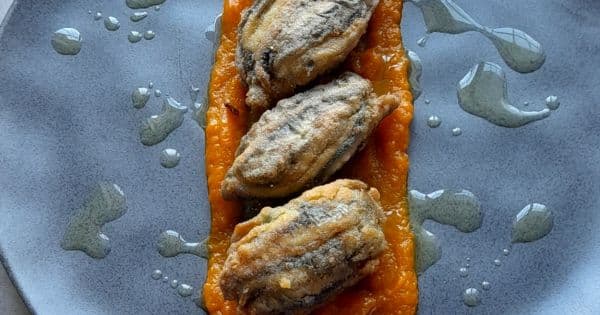 Hamsi Kuşu