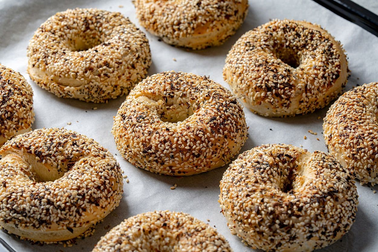 Bagel