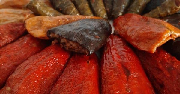 Karışık Kuru Dolma