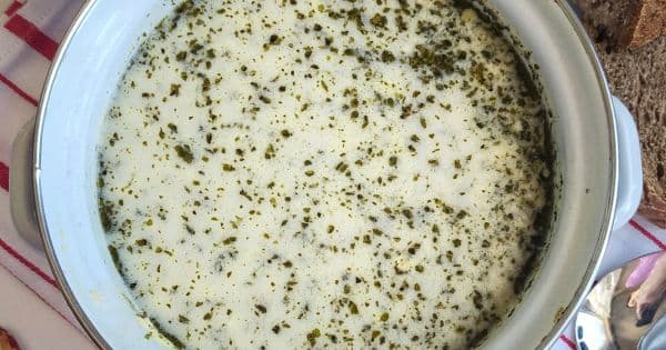 Terbiyeli Yeşil Mercimek Çorbası