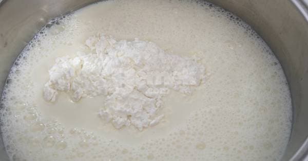 1 Kilo Sütten 1,5 Kilo Kaşar Peyniri