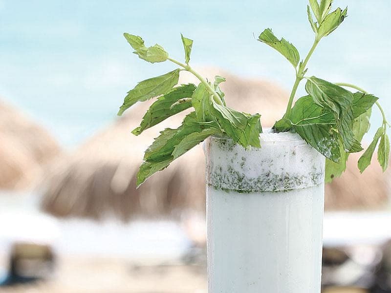 Ayran Mojito
