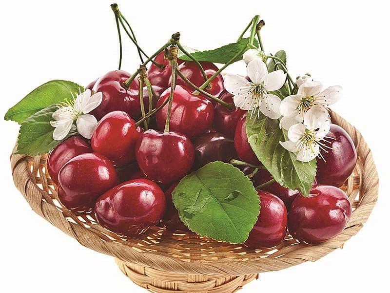 Kirazlı Mozzarella Şiş