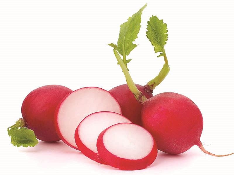 Krem Peynirli Ve Tereyağlı Turplar
