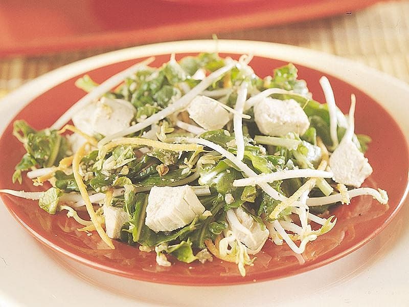 Soya Filizli Ve Tavuklu Roka Salatası